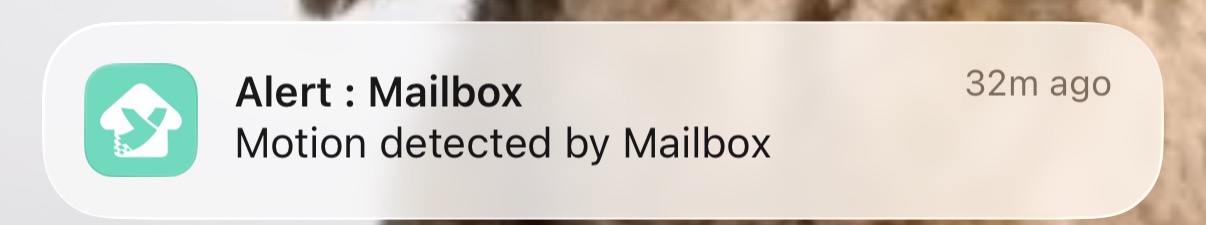 yolink app mailbox motion notification